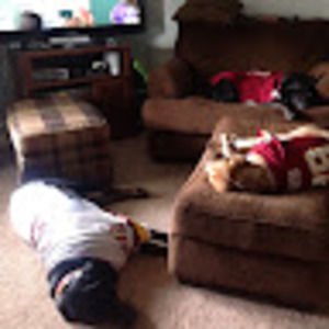 Meet your Posher, Amanda